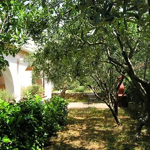 Sokolovic Krk Town